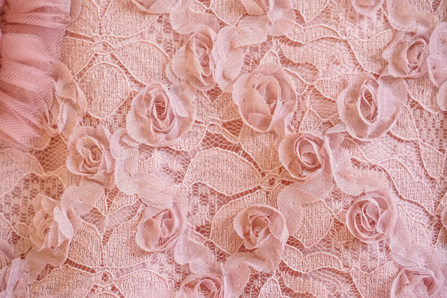 Flower Girls Tulle Dress