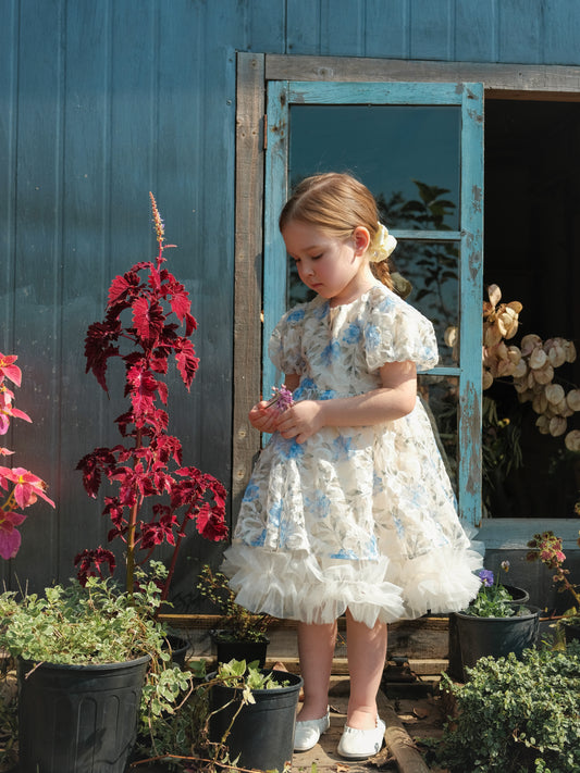 French Style Tulle Dress